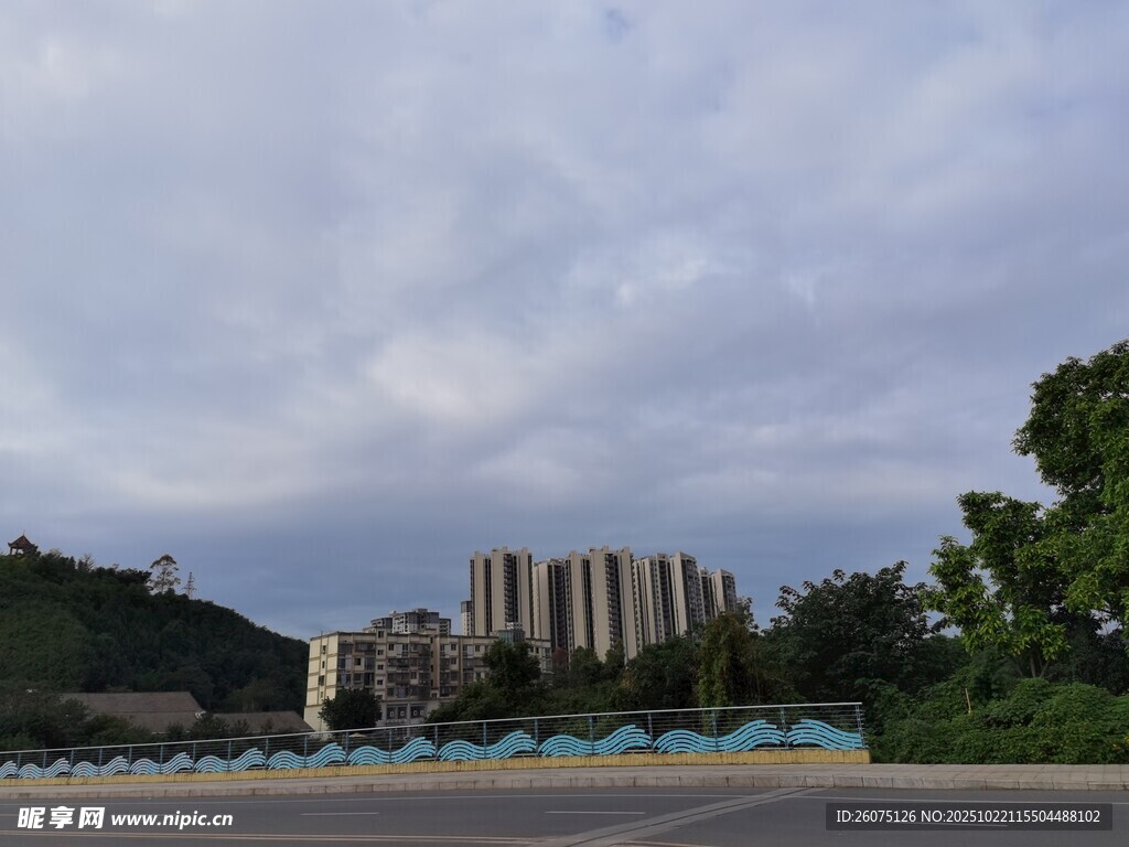 城市远景与绿树相映成趣