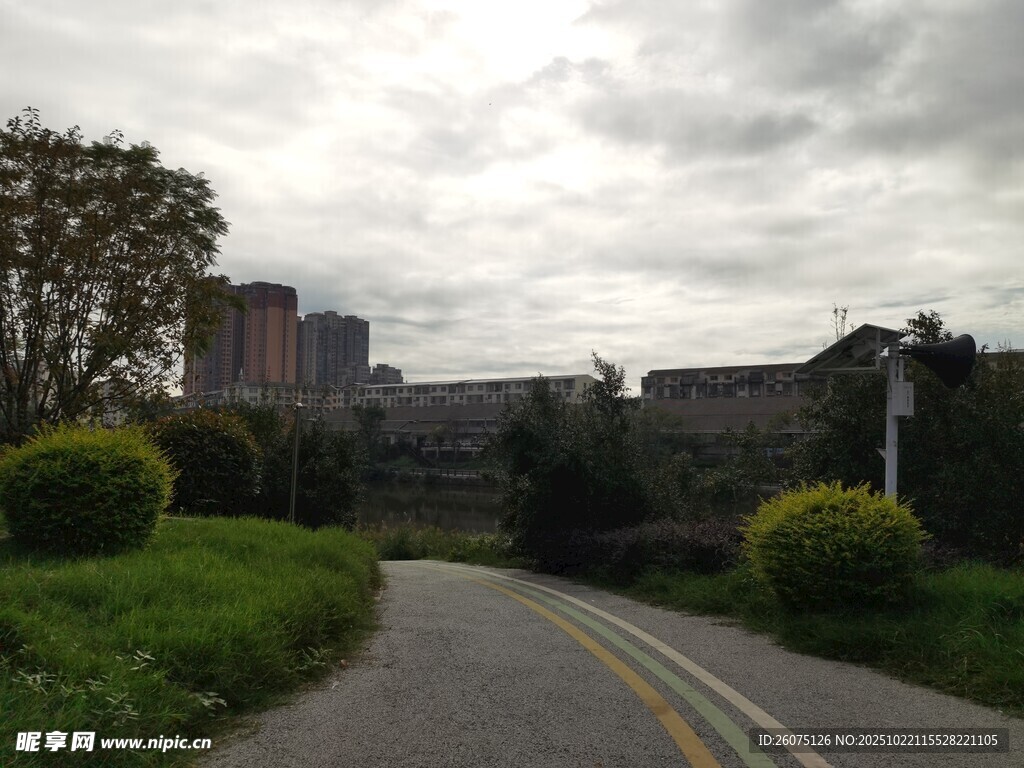 城郊小路绿植与建筑相映