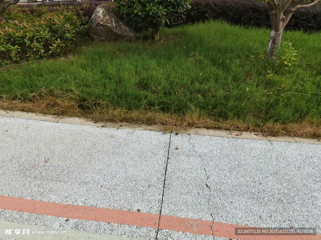 路边草地与水泥路面场景