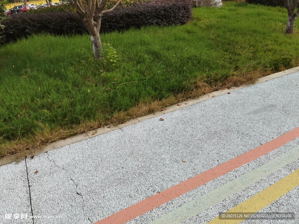 路边草地旁的彩色道路
