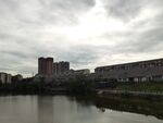 城市河畔风景