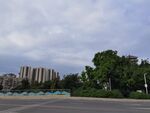 城市道路旁的绿树与建筑