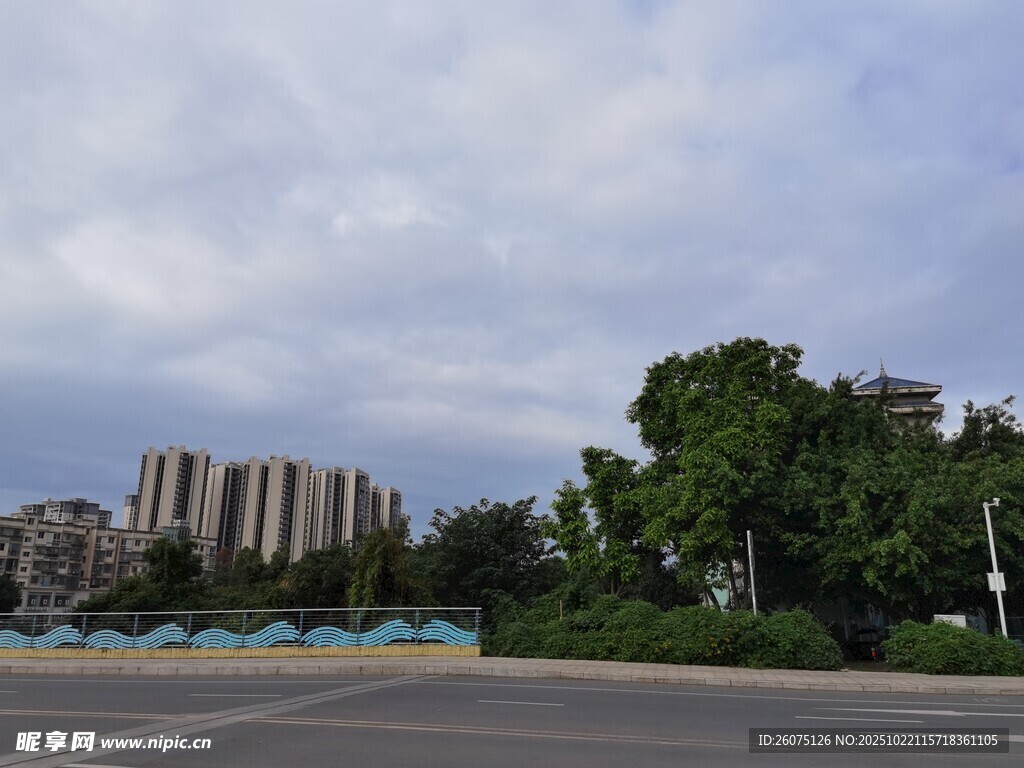城市道路旁的绿树与建筑