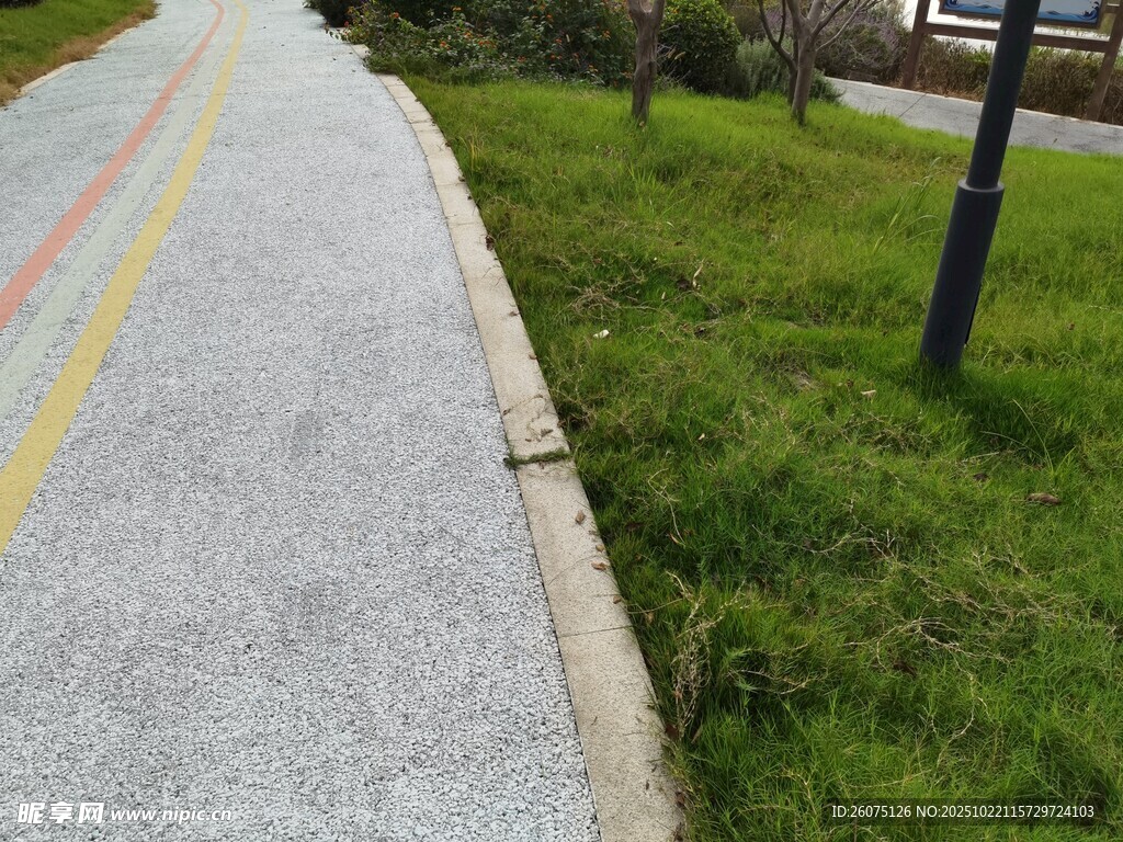 彩色步道旁的绿意风景