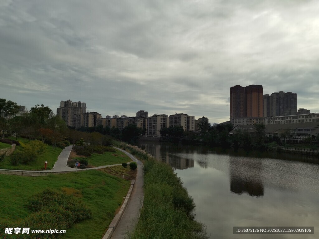 城市河畔景观绿树伴高楼