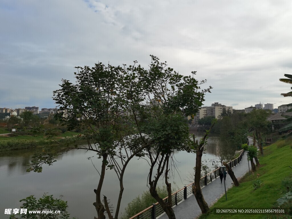河畔绿树成荫的美丽景致