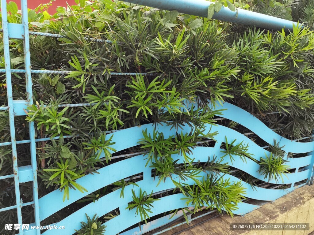 蓝色波浪形绿植围栏