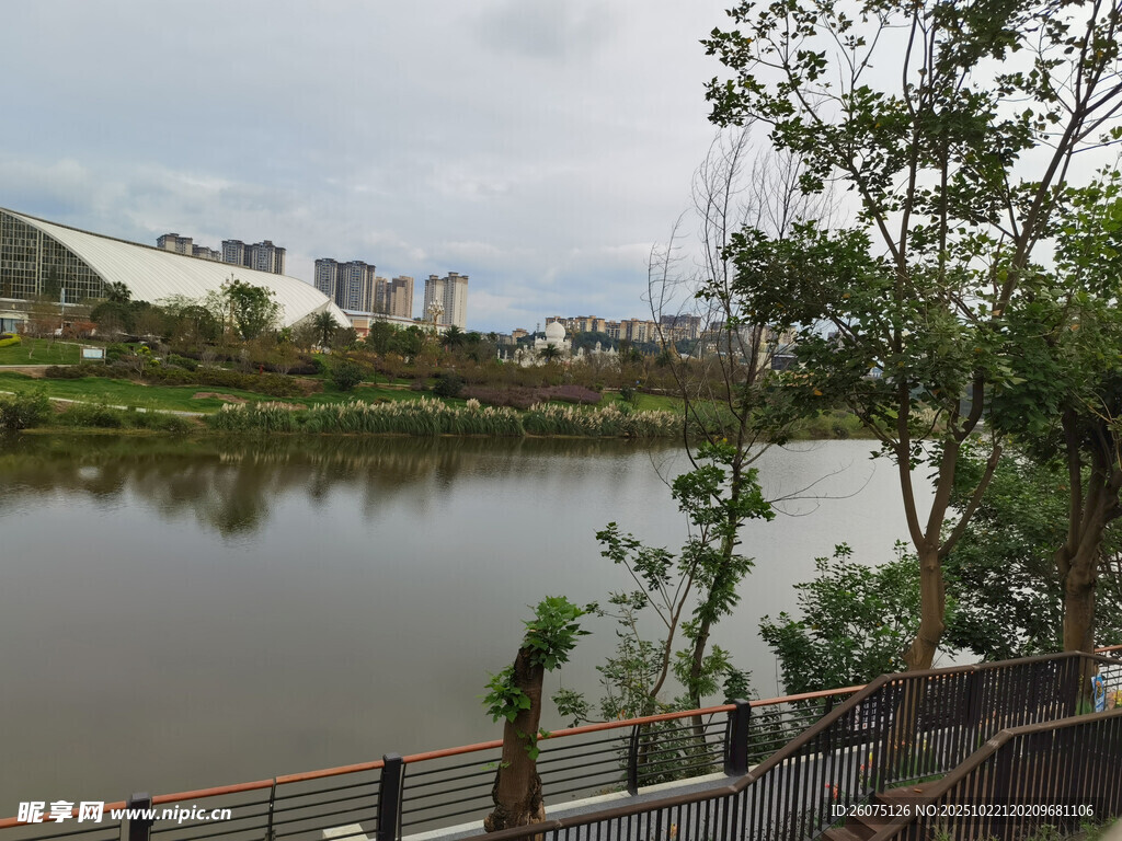河畔风景绿树环绕的宁静水域