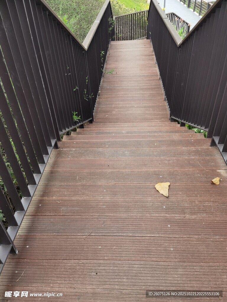木质步道与两侧围栏景观