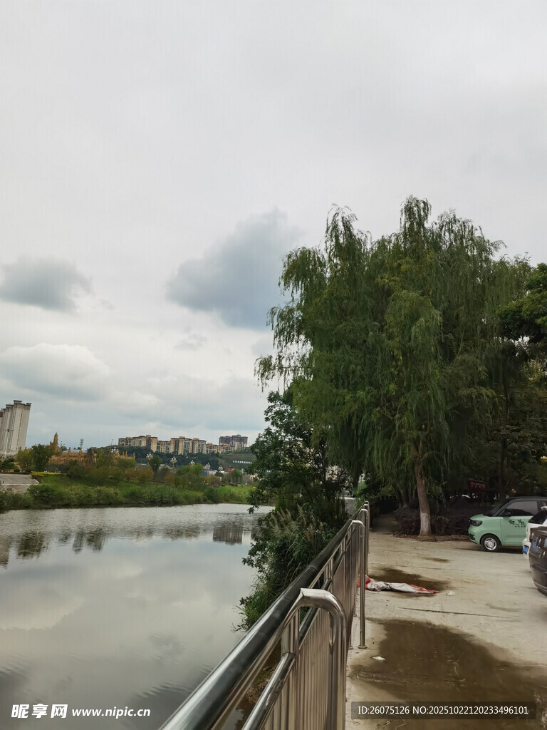 河边风景绿树环绕的水域