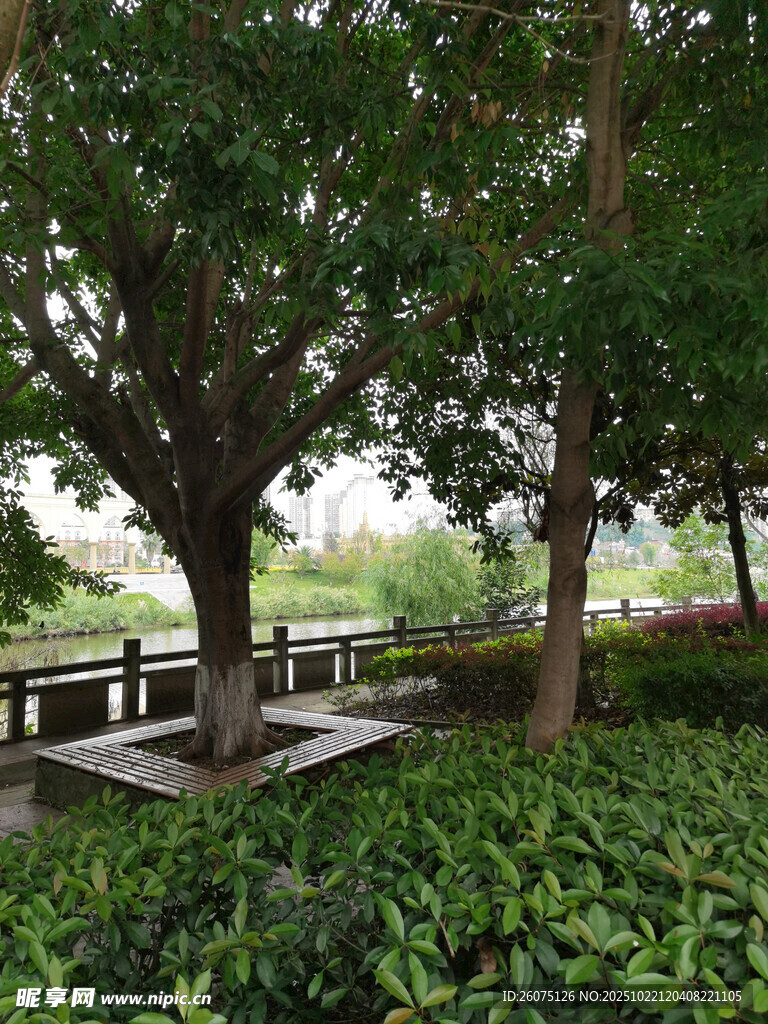 林间休憩处的静谧景致