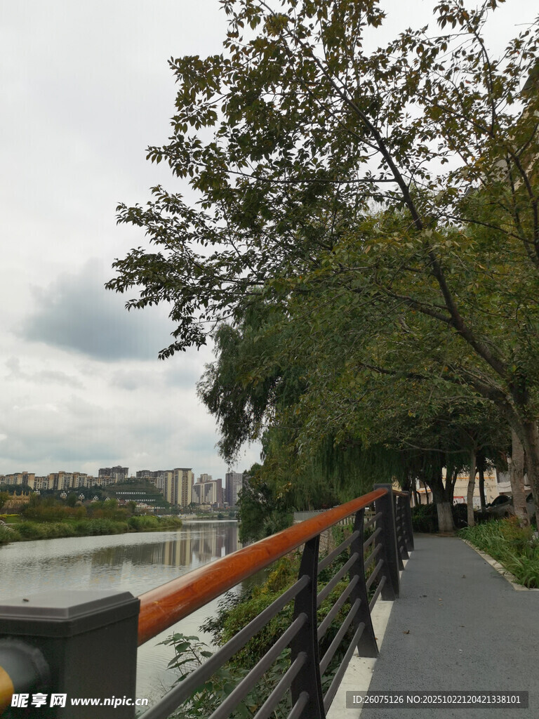 河畔林荫步道风景