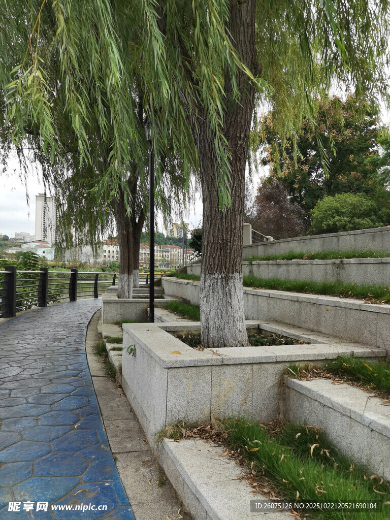 河畔垂柳景观步道