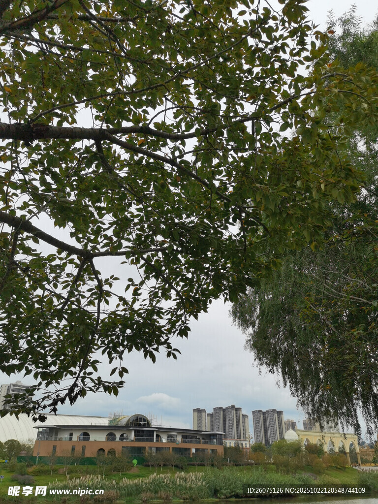 绿树掩映下的城市远景