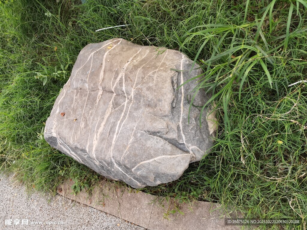草地上的灰色大石头