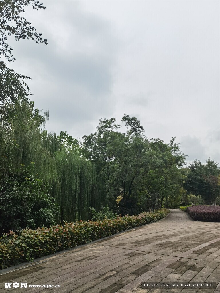 林间泥路葱郁绿植相伴