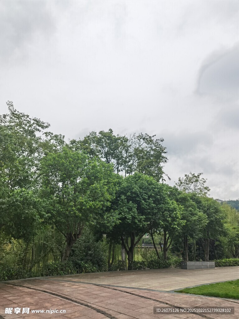 户外绿树环绕的开阔场地