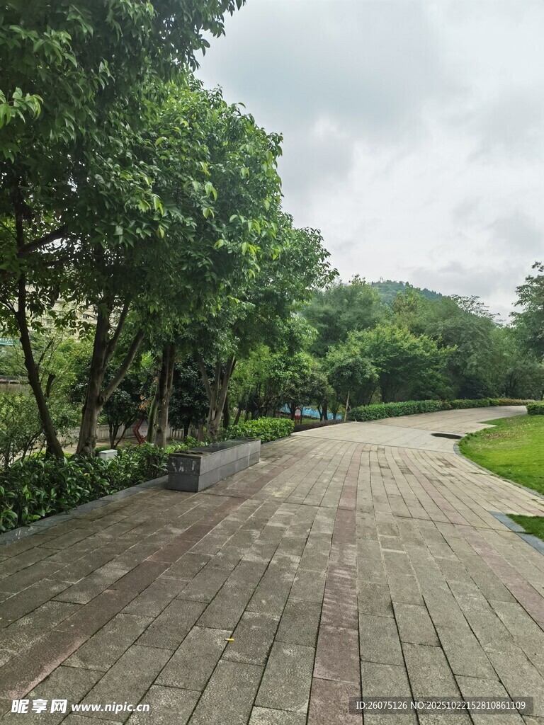 林间砖铺小路绿意盎然