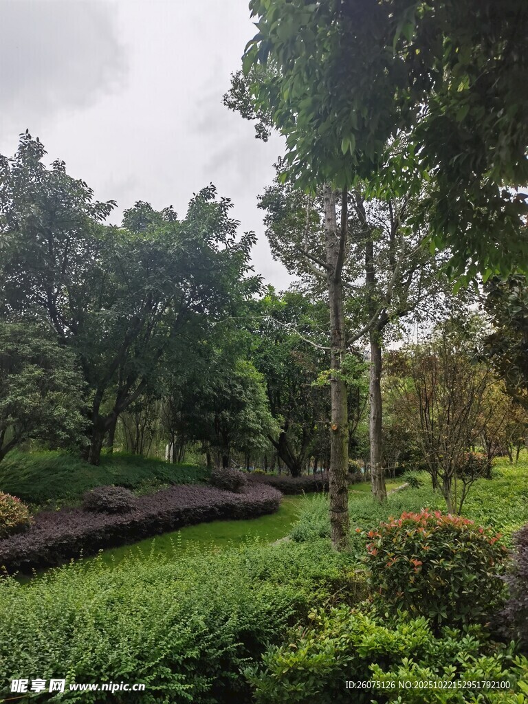 绿意盎然的户外园林景观