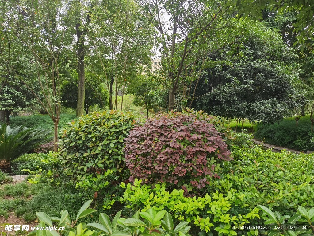 绿意盎然的园林景观