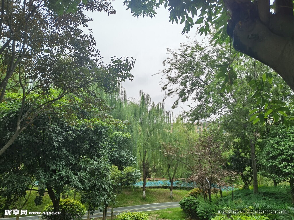 绿意盎然的静谧公园角落