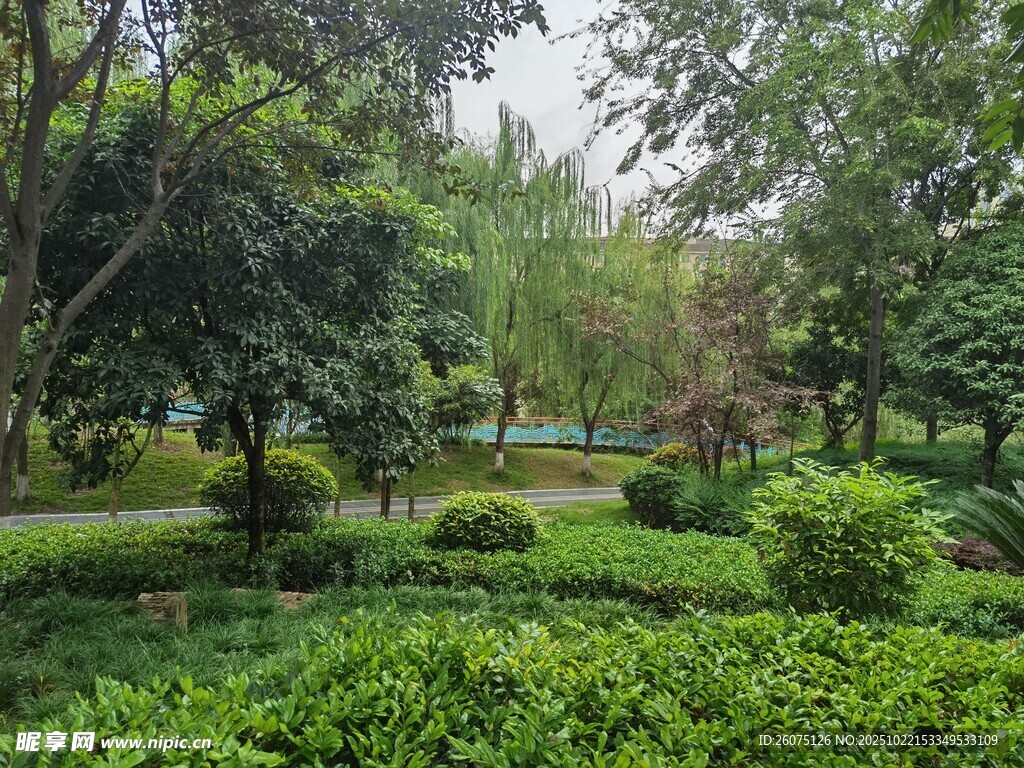 绿意盎然的公园景观