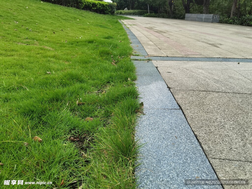 路边翠绿草坪与水泥路面