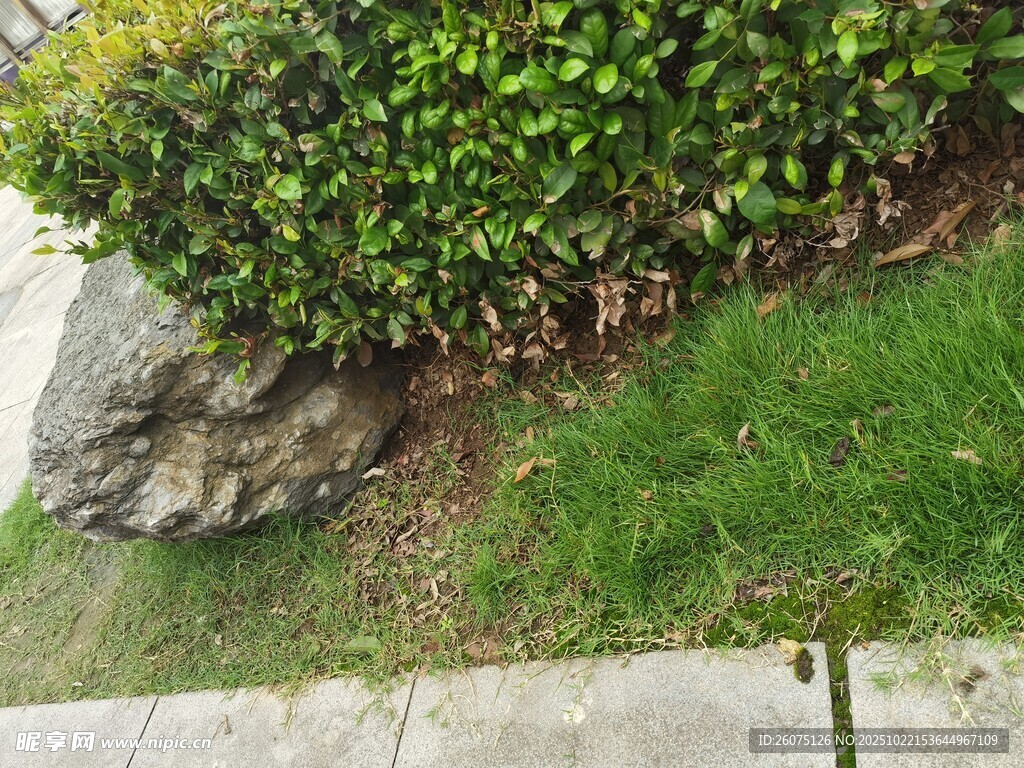 路边绿植与石块景观