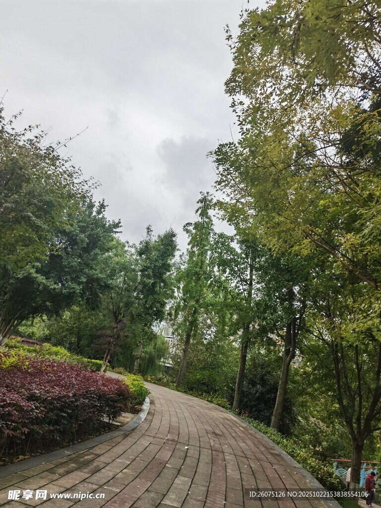 林间蜿蜒石板路