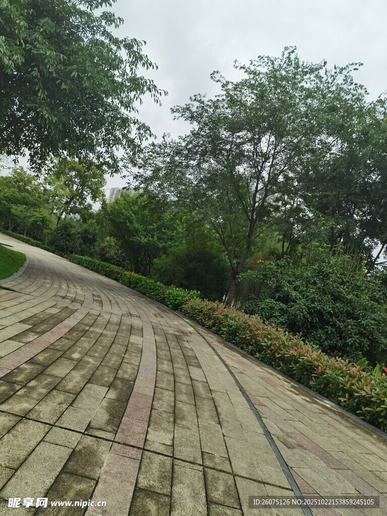 公园蜿蜒石板路与绿植