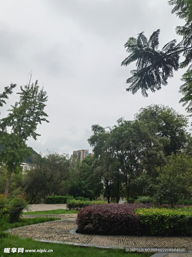 公园绿意景观