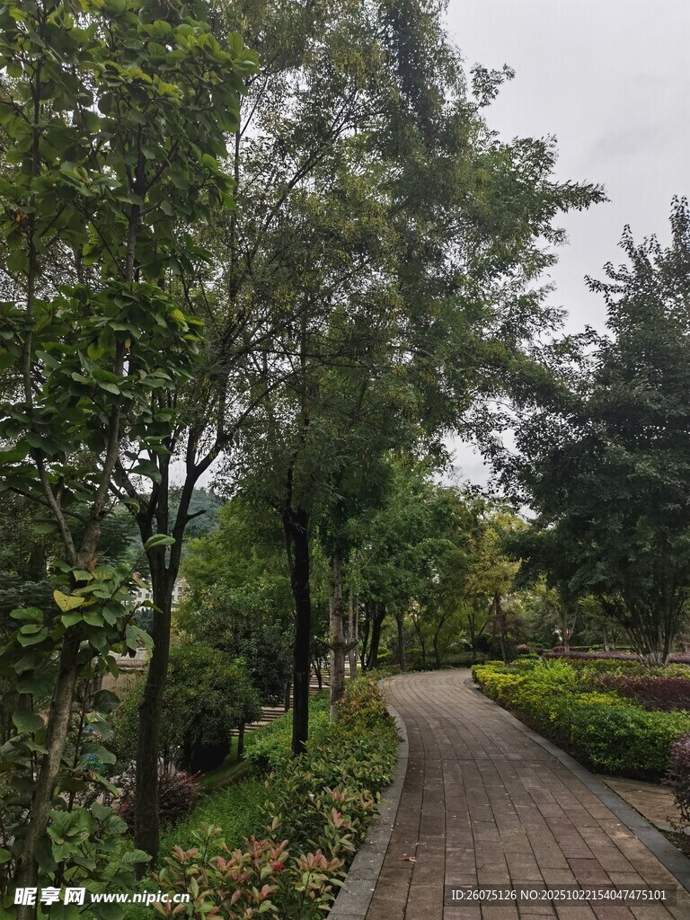 林间幽静步道