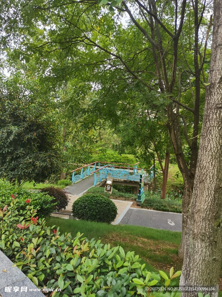 园林景致绿意盎然的角落