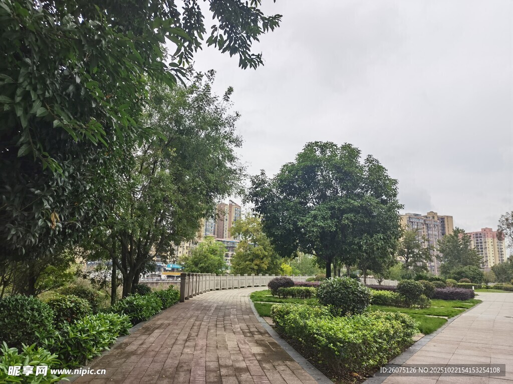城市中静谧的绿植小径