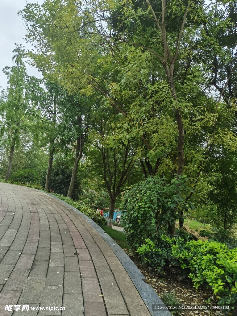 林间砖石小径绿意盎然