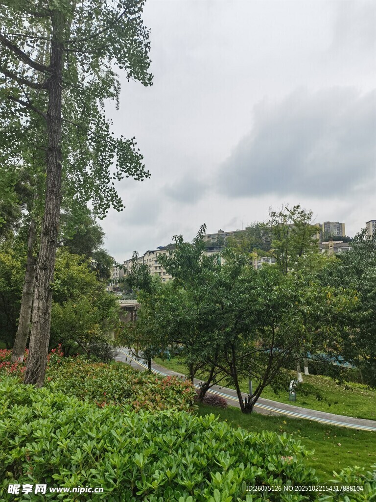 绿意盎然的户外园林景观