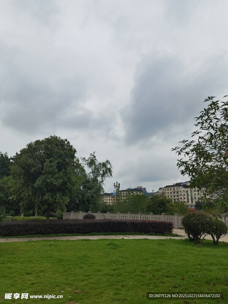 户外绿地与树木景观