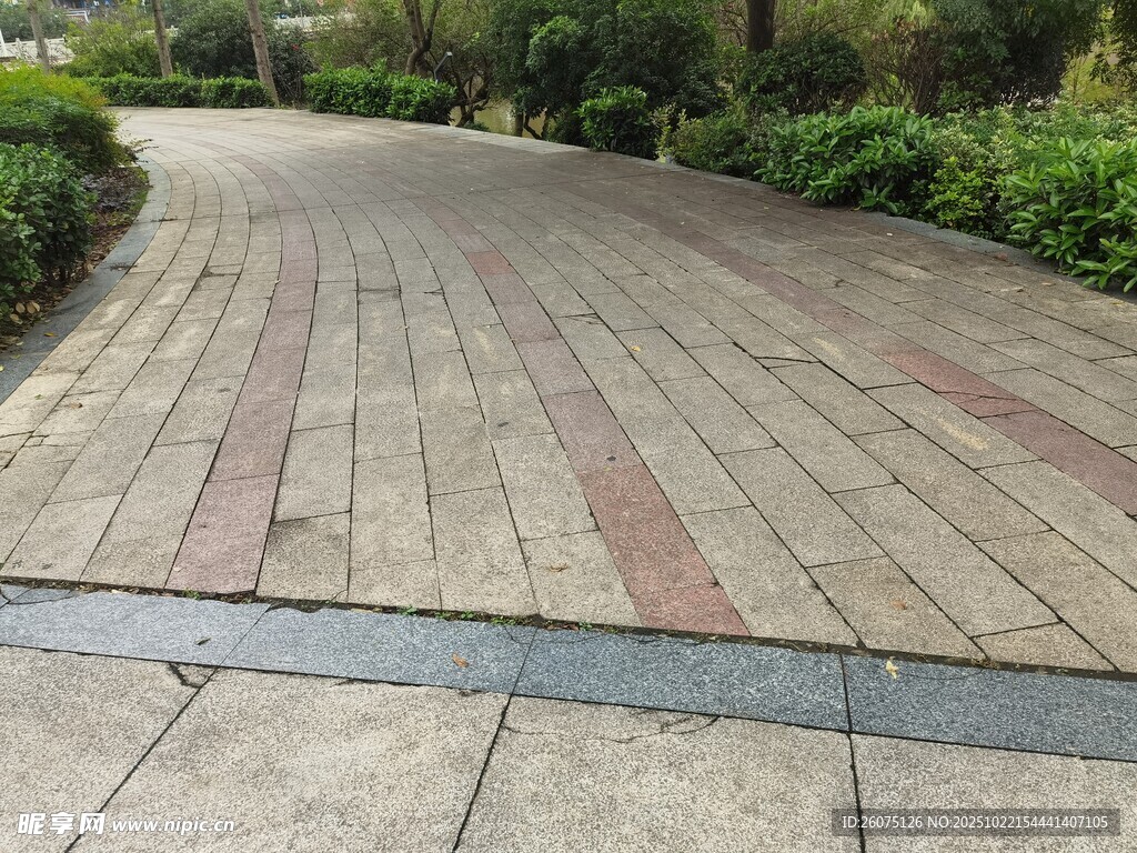 花园中色彩交错的砖石步道