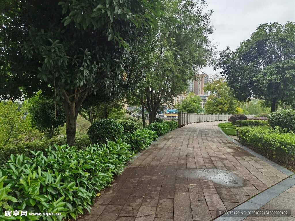 雨后静谧的园林小径