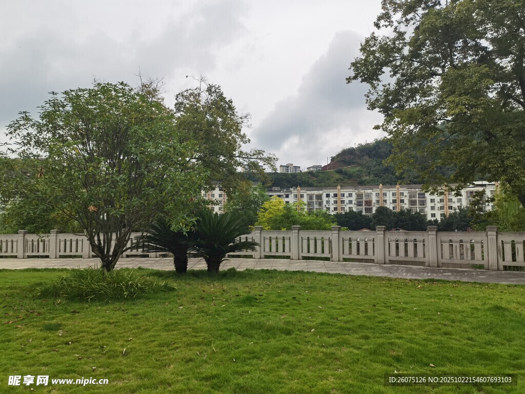 户外草地旁的树木与围栏