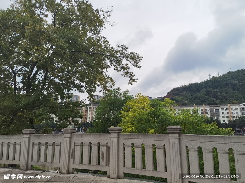 户外风景中的围栏与绿树