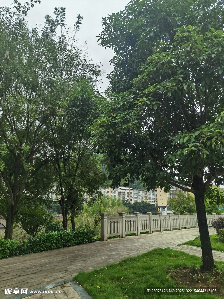 绿意盎然的公园小径