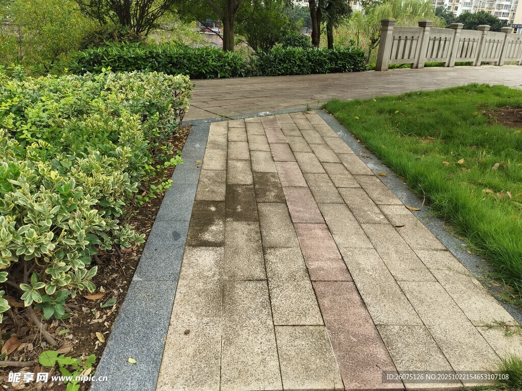 砖砌小径旁绿植环绕