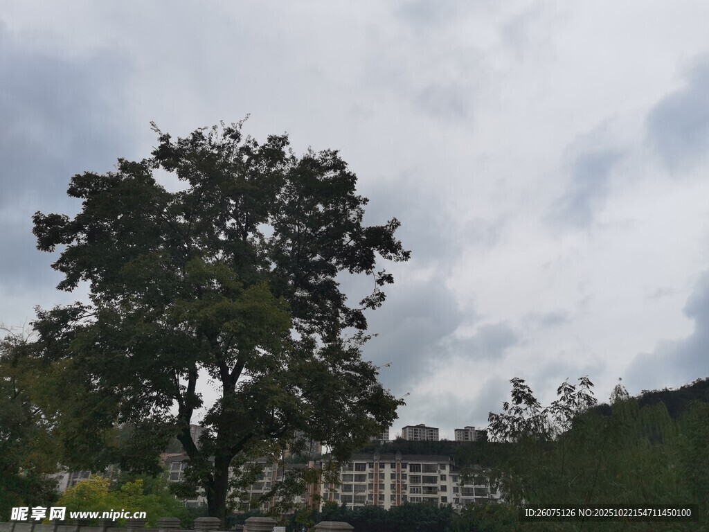 户外绿树与远处建筑景观