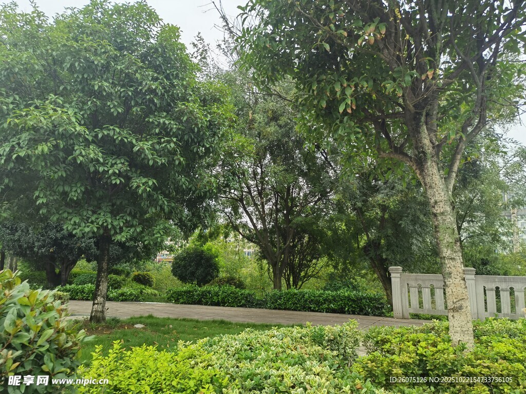 静谧园林景观一角