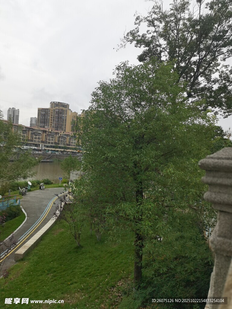 城市绿荫中的道路景观