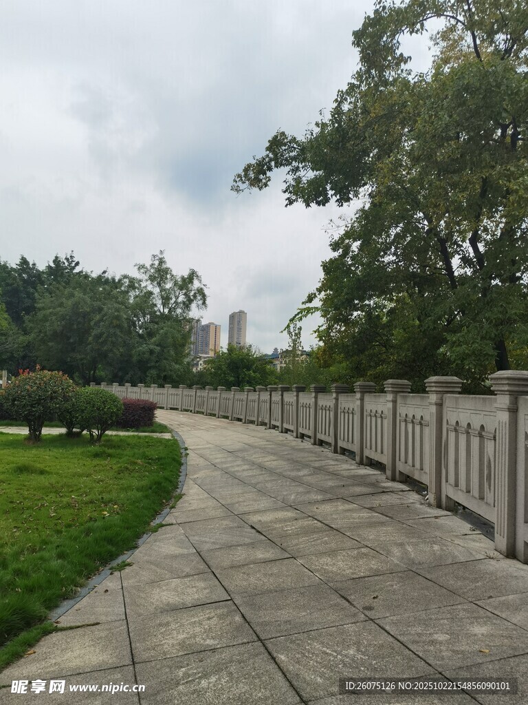 林荫步道静谧户外景致