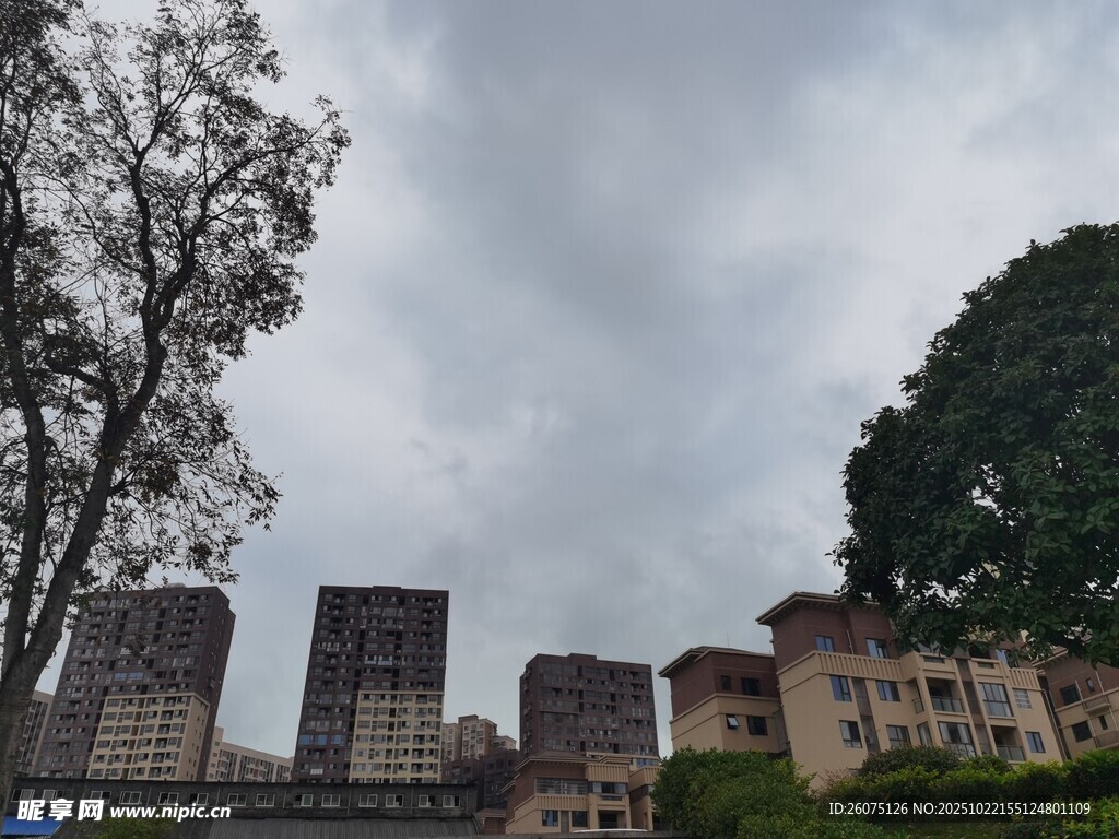 城市中建筑与树木景观