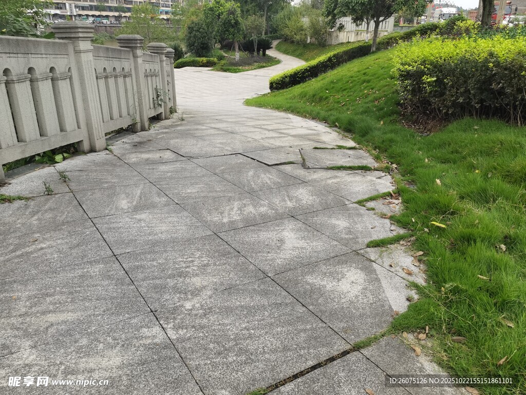 户外水泥小径与绿植景观