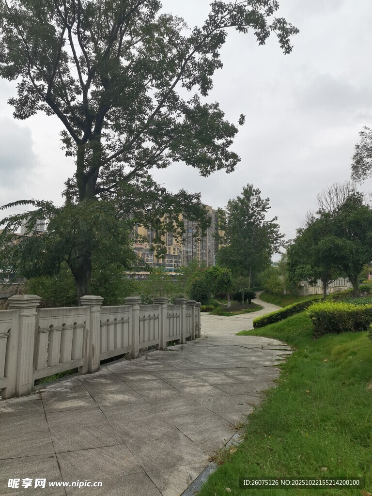 雨后清新的公园小径